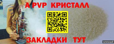 прущие грибы Гусиноозёрск